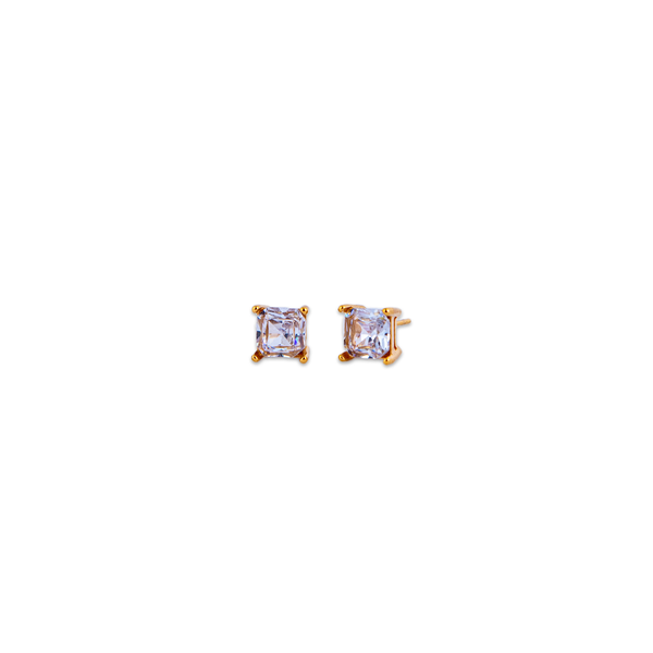 Jake Gold Earrings