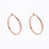 Lily Rose Gold Earrings