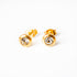 Gabriella Gold Earrings