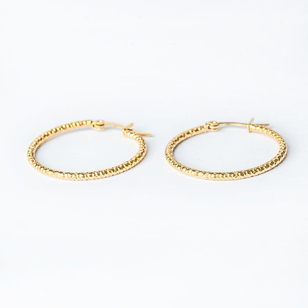 A pair of yellow gold Claudia hoop earrings with a textured surface on a white background.