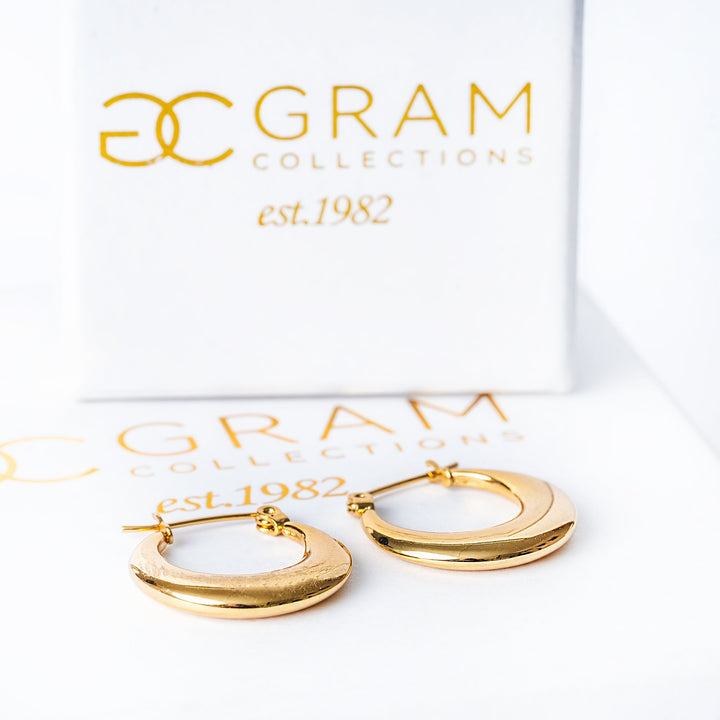 Evia Gold Earrings placed on its uniquely designed white box with gram collections logo in center of it. 