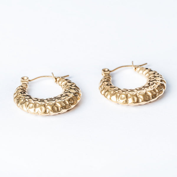 A close up view of Graziella Gold Earrings standing in the center of the image 