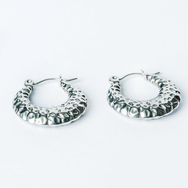 A close up view of graziella Silver Earrings 