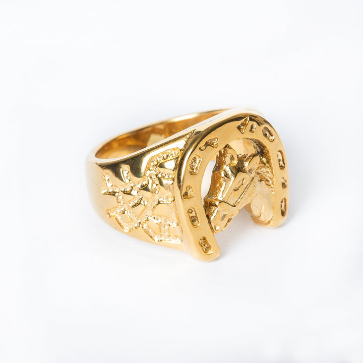 A c lose up view of Hunky Horse Ring standing in the center of the image seeing right profile.