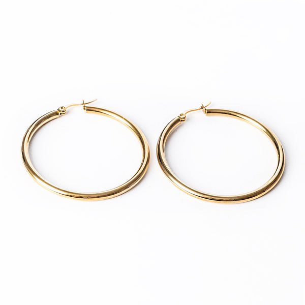 Leanne Gold Earrings standing in the center of the image
