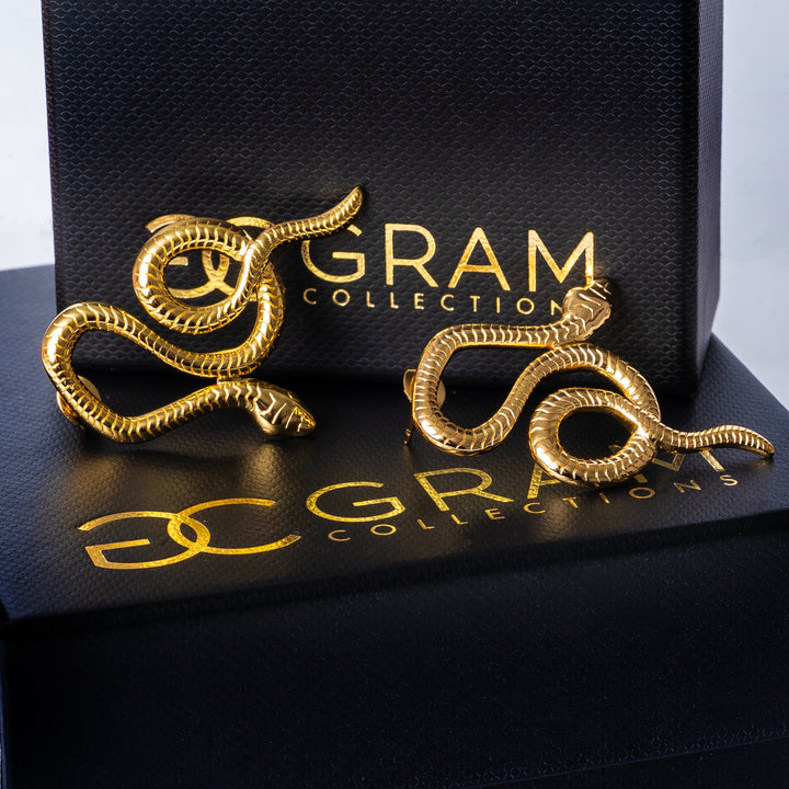 A close up view of Nixi Earrings placed on its uniquely designed box. 