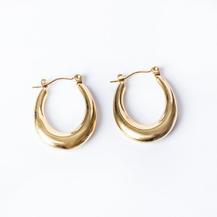 Birdview of Sandra Gold Earrings standing in the center of image against a white background. 