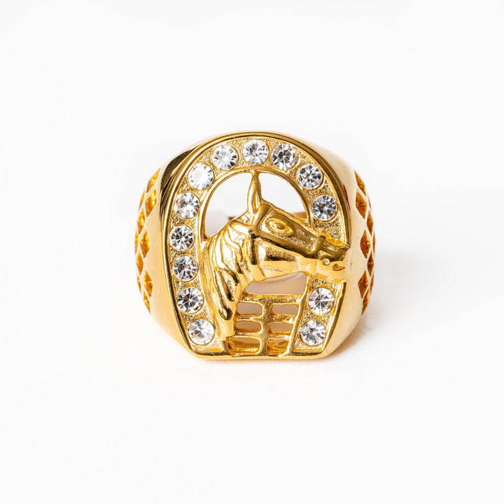 A close up view of Ta' Ziemel Ring standing against a white background. 