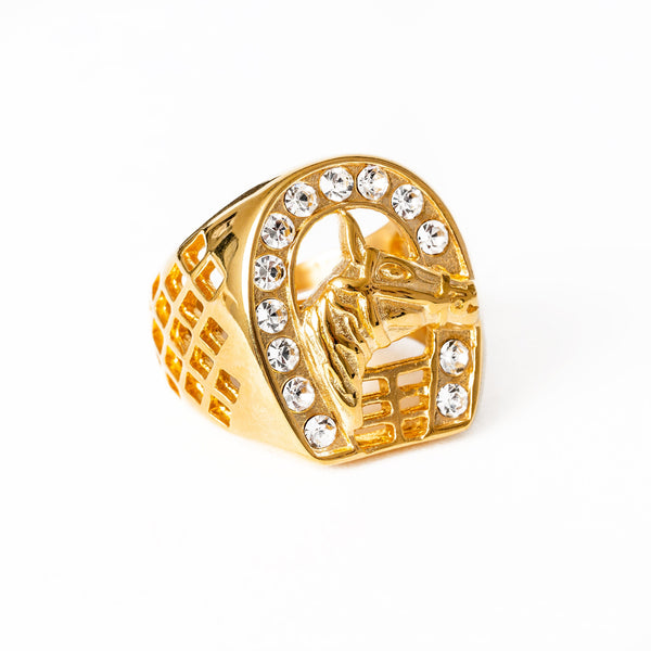 A  ta ziemel ring gold-colored stainless steel ring with a textured band and a central emblem surrounded by small clear stones.
