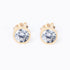April Birth Stone earrings