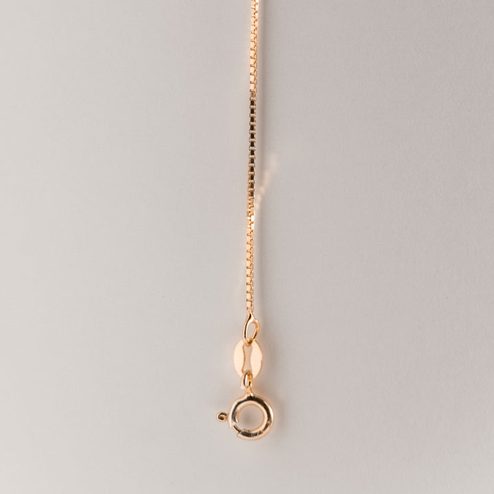 A bird view of Silver Rose Gold Chain 