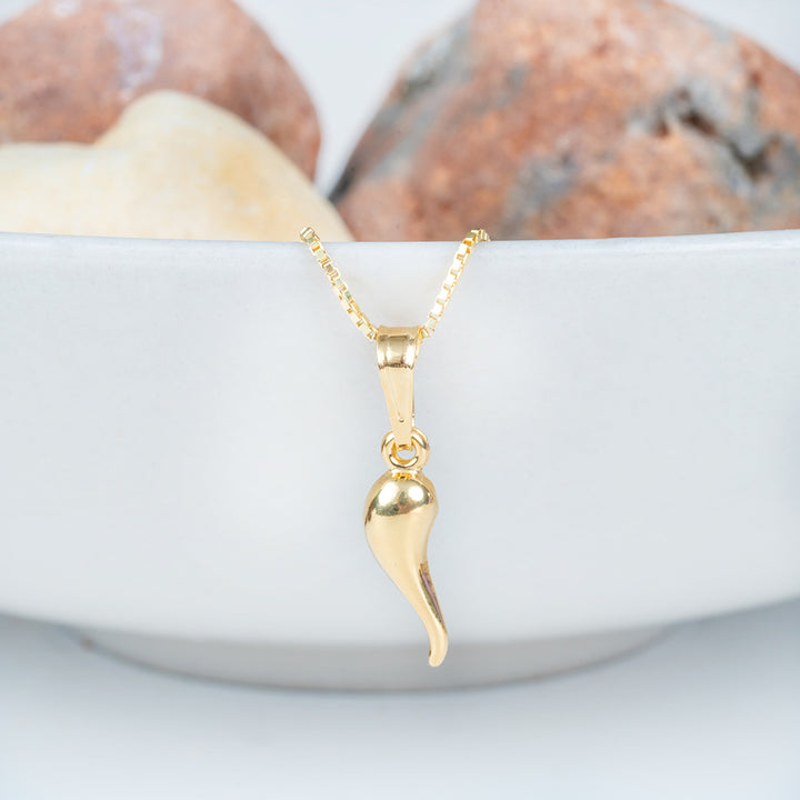 A close up view of Bzaru Lucky Charm Pendant.