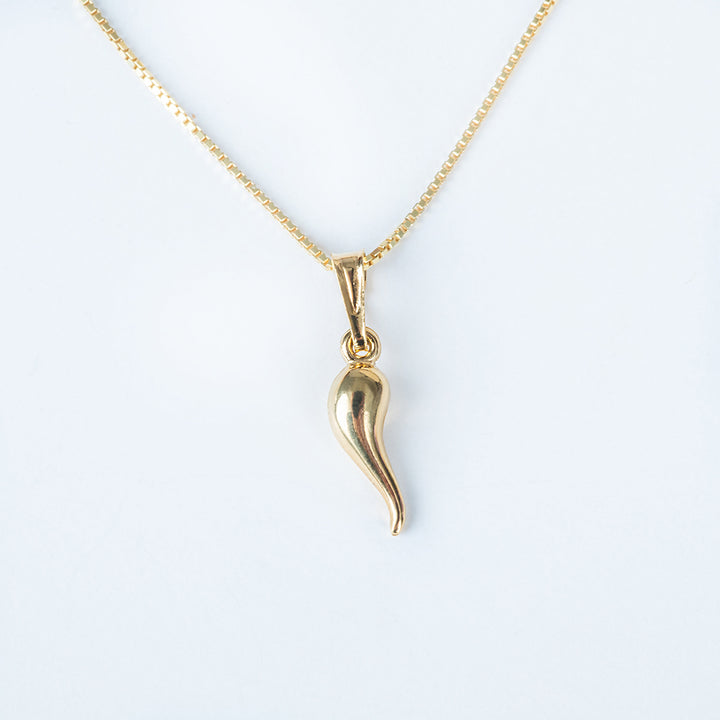 A close up view of Bzaru Lucky Charm Pendant.