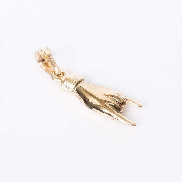 A close up view of Horn Pendant.