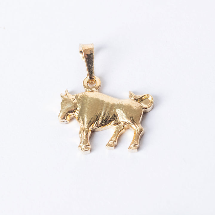 A close up view of Taurus pendant standing in the center of the image 