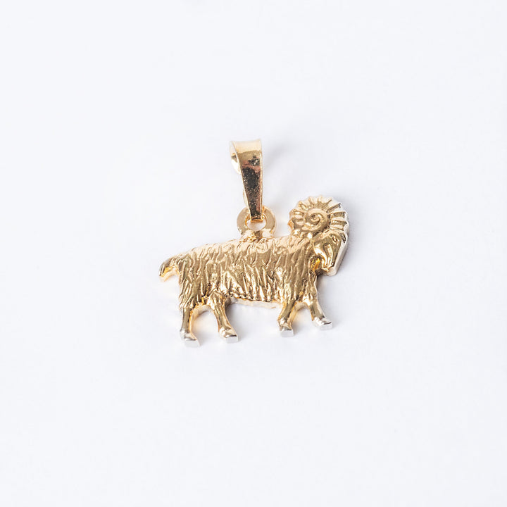 A close up view of Aries pendant 